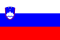 Campione Sloveno '26