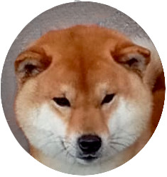 Aiken Go Shinjukawa