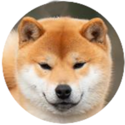 Bensho Go Shinjukawa