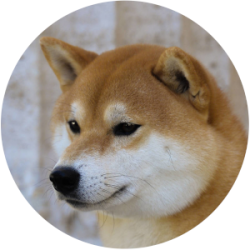 Guren Go Shinjukawa