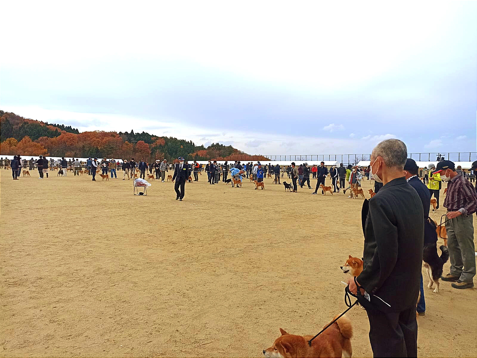 Il ring del Grand National 2022: decine di Shiba Inu e conduttori schierati sul campo, tra le colline autunnali di Fukushima