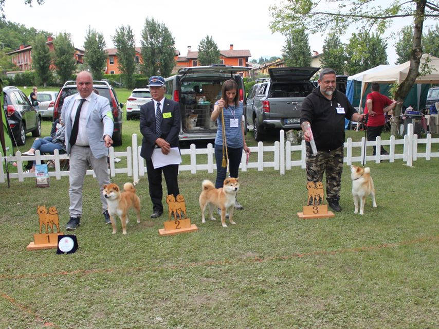 Magatama Go Shinjukawa Waka-Inu II Kumi Nippo Show Padenghe sul Garda 26/05/2019