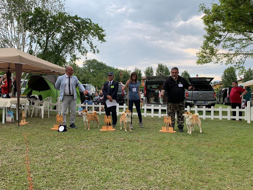 Magatama Go Shinjukawa Waka-Inu II Kumi Nippo Show Padenghe sul Garda 26/05/2019