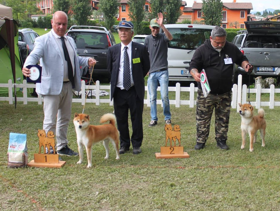 Sensei Go Shinjukawa Souken Kumi Winner Nippo Show Padenghe sul Garda 26/05/2019