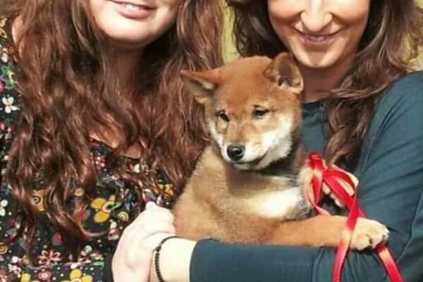 due donne sorridenti tengono in braccio un cucciolo di shiba sesamo